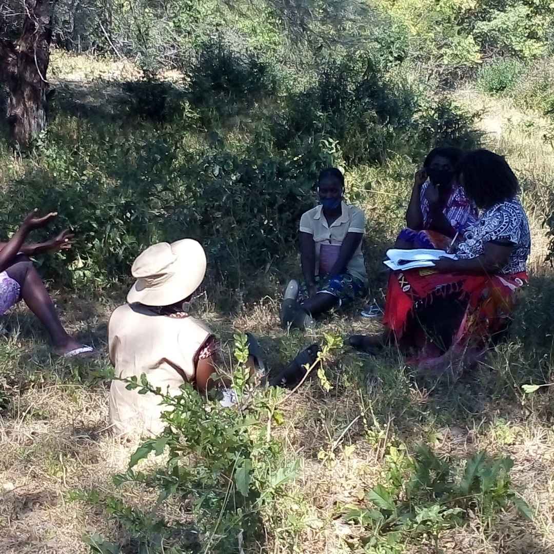 single-img-6 single-img